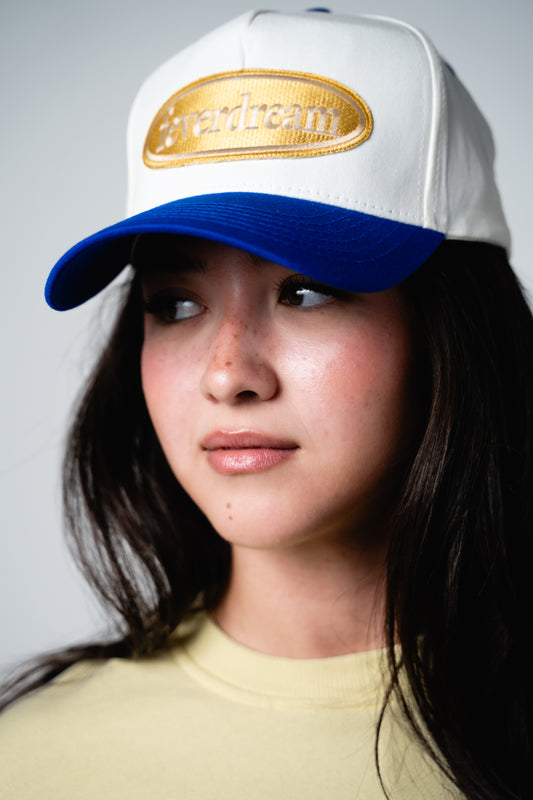Feverdream 5 Panel A Frame Cap